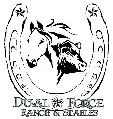 Dual Force Ranch & Stables Website
